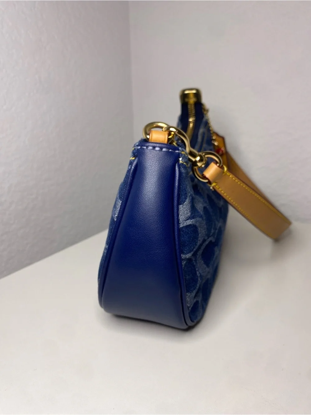 Coach mini teri